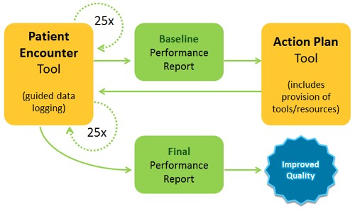 Schematic of the Practice Assessment Activity Process